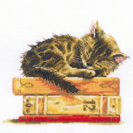 ◎刺しゅうPUSH！◎刺繍 輸入キット RTO CAT'S DREAM キャッツドリーム【メール便可】夢見る子猫