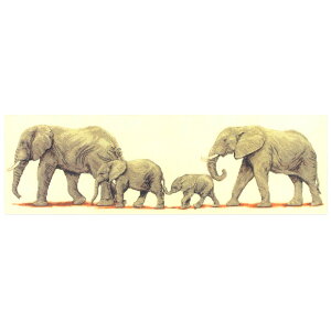 hJ ALbg Anchor Elephant Stroll