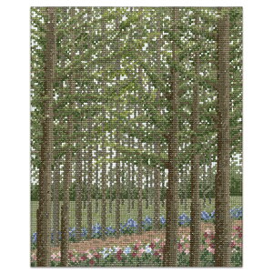 hJ Lbg IpX ImGEO~ ؁X̍ʂ J}cт̏ | hJLbg hイ イ Lbg |Lbg hJZbg |pi ImGO~ NXXeb` NX 