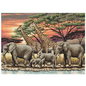 hJ ALbg maia African Sunset