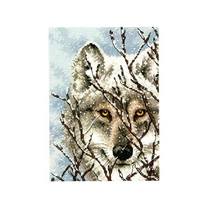 hJ Dimensions WolfbhイLbg NXXeb` GOLDCOLLECTION PETITES