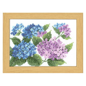 hJ 12̉ԃt[ }[EJg[kRNV 6 AWTC NXXeb`