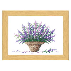 hJ 12̉ԃt[ }[EJg[kRNV 7 x_[ b NXXeb` Lbg S