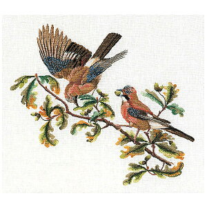 刺繍キット Thea GOUVERNEUR 1075 birds 小鳥 White Aida |クロスステッチ キット