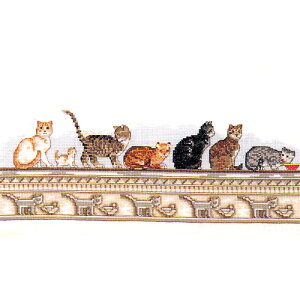 �h�J �h���イ �A���L�b�g O.O.E. Matrix cats �h�J�L�b�g 7�C�̔L