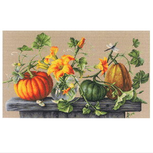hJLbg Luca-S [JX B2303 t[ Pumpkins pvL NXXeb` Lbg