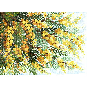 NXXeb` hJLbg IpX ~U̍炭uij | ~Ủ Ԏhイ |Lbg NXXeb`Lbg NX Xeb` ImGO~