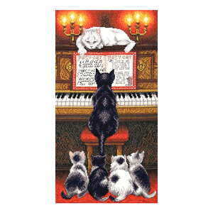 hJ Charivna Music lesson isAm̃bXjb M-353 NXXeb` Lbg