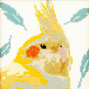 IpX NXXeb`Lbg 킢Aj} CR(IJCR)7551 hイLbg | NXXeb`   CR  hJLbg 20×20cm 6{