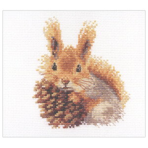 hJ ALbg ALISAiATj Little and Cute Squirrel y[։z肷 X