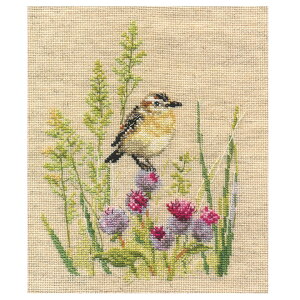 hJ ALbg ALISAiATj Flowers and birds Whinchat y[։z