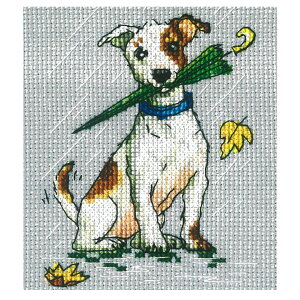 hJ RTO RUNNING ON PUDDLES ALbg