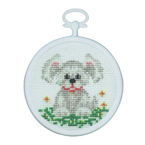 hJ M.C.G/Candamar Puppy ALbg