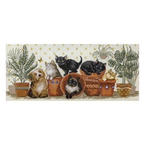 y~hJP15z AhJ NXXeb`Lbg Charivna Funny company t@j[Jpj[bBT-248 L L  