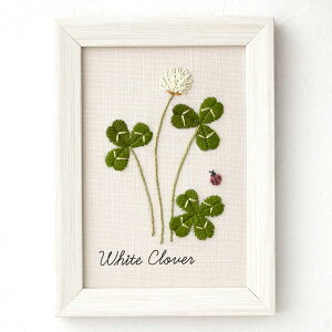 hJ ؘaq 12̐A蒟 VcNT t[tbNo.542004 RX hイLbg COSMO tXhイ