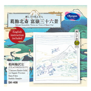 IpX hqLbg Ԃӂ k xԎO\Zi B~ bSK-408 { hq ӂ olympus