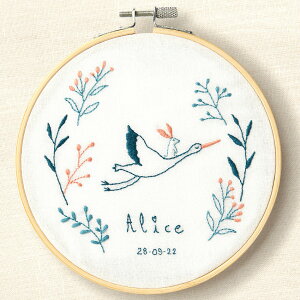 DMC Gift of Stitch TB180 REmg̑蕨 t[Xeb`Lbg | fB[GV[ Mtg Iu Xeb` }Ĉς REmg 蕨 tX hイ