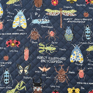  cCLg 50cm JbgNXbn z zn ͂ Jbgz JbgNX ObY wObY VwObY ̎q j̎q } Lgn LeBO LeBOn 