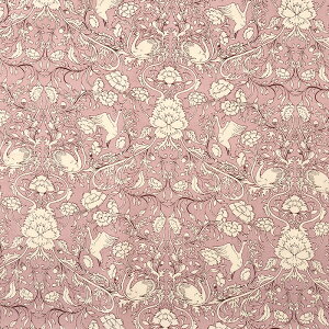 X u[hvg 50cmPʁbؔ ؂蔄 n z zn Rbg100  X ԕ t[ t[vg  n n 킢 i l ̎q EGA m