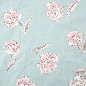 ԕ2 V[`Ovg 50cmPʁbؔ ؂蔄 n z zn Rbg100 ԕ t[ t[vg pXeJ[ C  n n i 킢 䂩 t m