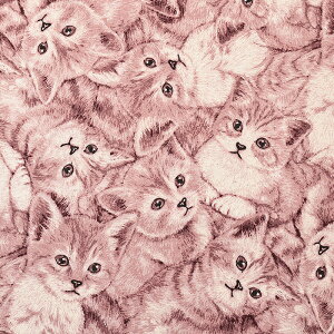 L ȖLoX 50cmPʁbؔ ؂蔄 n z zn ˂ L lR Lbg W  Aj} 킢 ʒn v Rbgl  w ObY j̎q ̎q