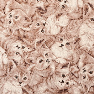 L ȖLoX 50cmPʁbؔ ؂蔄 n z zn ˂ L lR Lbg W  Aj} 킢 ʒn v Rbgl  w ObY j̎q ̎q