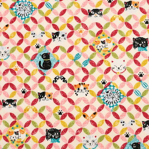 ɂ񂱂a 2 XPA 50cmPʁbؔ ؂蔄 n z zn Rbg100 lR ˂ L Lbg jR  Jt  n a a aeCXg 킢 ߕ XPAn