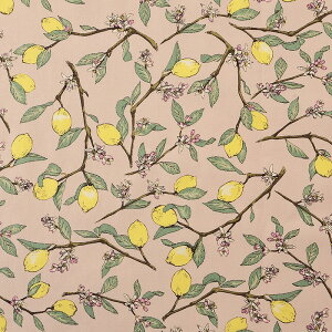 }t u[hvg 50cmPʁbؔ ؂蔄 n z zn Rbg100  EG t[c ʕ ʎ i`  n n ` jAXJ[ l