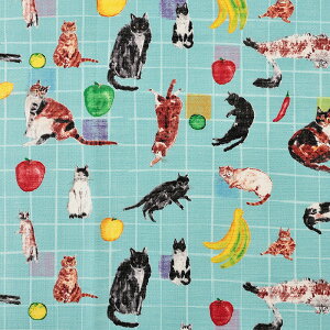 pm Lƃe[ut[c [[NX 50cmPʁbؔ ؂蔄 n z zn Rbg100 y[p[bZ[W Lbg `FbN iq ʕ ʒn v D₷ e[uN