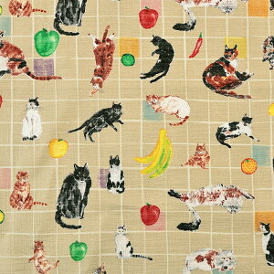 pm Lƃe[ut[c [[NX 50cmPʁbؔ ؂蔄 n z zn Rbg100 y[p[bZ[W Lbg `FbN iq ʕ ʒn v D₷ e[uN