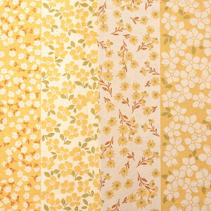 MULTI STRIPE  V[`O 50cmPʁbؔ ؂蔄 n z zn Rbg100  w ObY LbY ̎q j̎q {[_[  n n }`XgCv ԕ t[ ԕ