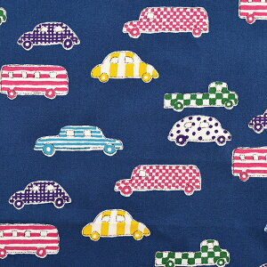 SOUESOUeLX^CfUC ǂ IbNX 50cmPʁbؔ ؂蔄 n z zn  \E\E   蕨 ̂ Rbg100 ObY wObY VwO