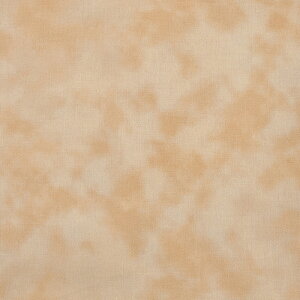 ~G[  V[`O 50cmPʁbؔ ؂蔄 n z zn ނ炼 ނ ߃vg Of[V ڂ | Ntg  n nCALg pb`