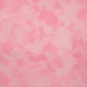 ~G[  V[`O 50cmPʁbؔ ؂蔄 n z zn ނ炼 ނ ߃vg Of[V ڂ | Ntg  n nCALg pb`