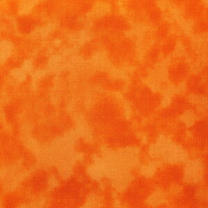 ~G[  V[`O 50cmPʁbؔ ؂蔄 n z zn ނ炼 ނ ߃vg Of[V ڂ | Ntg  n nCALg pb`