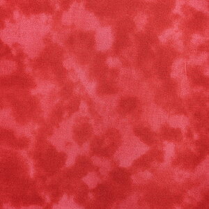 ~G[  V[`O 50cmPʁbؔ ؂蔄 n z zn ނ炼 ނ ߃vg Of[V ڂ | Ntg  n nCALg pb`