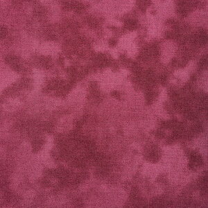 ~G[  V[`O 50cmPʁbؔ ؂蔄 n z zn ނ炼 ނ ߃vg Of[V ڂ | Ntg  n nCALg pb`