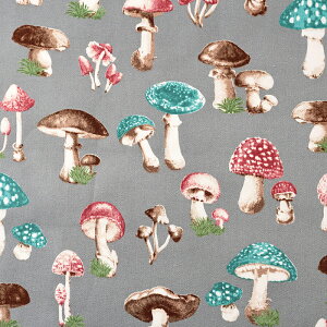 LmR IbNX 50cmPʁbؔ ؂蔄 n z zn Rbg100 ̂ LmR }bV[  w`bN A ʒn v 킢  w ObY Jt