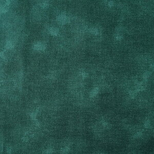 _20NՁ^ NX}Xvg ڂ XPA 50cmPʁbؔ ؂蔄 n z zn fBXv[ fBXvC  bsO pb`[N  n Rbg100 n ނ