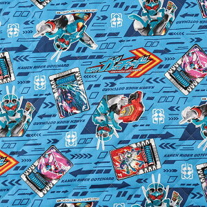 ʃC_[Kb`[h IbNXLg 50cmPʁbؔ ؂蔄 n z zn Lgn LeBO LeBOn LN^[  ObY wObY VwOb