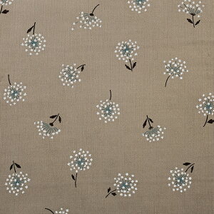 zCgv`[ R[evg 50cmPʁbؔ ؂蔄 n z zn jAXJ[ ݃J[ ԕ t[ t[vg R[fC R[V H~  