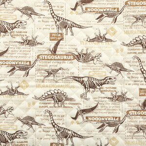 ̍i IbNXLg 50cmPʁbؔ ؂蔄 n z zn Lgn LeBO LeBOn _Ci\[ 傤イ WVbN ObY wObY VwOb