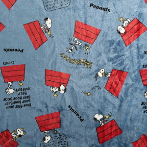 s[ibc hbOnEX }CNtl 75×100cm JbgNXbn z zn ͂ Jbgz h LN^[ {An ӂӂ ʋN ѕz 킢  ӂ s[