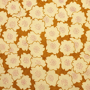 HAIBARA  IbNX 50cm JbgNXbn z zn ͂ Jbgz Rbg100 a aG  ԕ t[vg Y ʒn v ͂΂ HAIBARA a a a g_