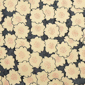 HAIBARA  IbNX 50cm JbgNXbn z zn ͂ Jbgz Rbg100 a aG  ԕ t[vg Y ʒn v ͂΂ HAIBARA a a a g_