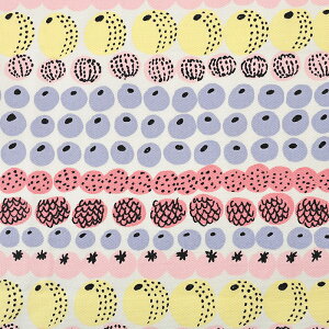 kippis r^~ IbNX 50cm JbgNXbn z zn ͂ Jbgz JbgNX Rbg100 keCXg k k  킢 ʒn v B^~[j  hbg 