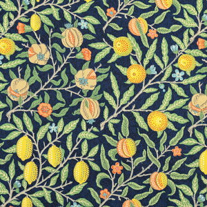 V&A Fabric Collection t[c V[`O 50cmPʁbؔ ؂蔄 n z zn p CMX h BNgA&Ao[g Rbg100  n n EBAX ԕ 