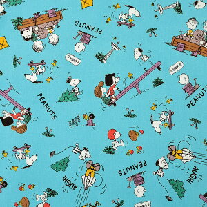 s[ibc Xk[s[  V[`O 50cmPʁbؔ ؂蔄 n z zn EbhXgbN `[[uE Rbg100 j̎q ̎q  n  w SNOOPY LN