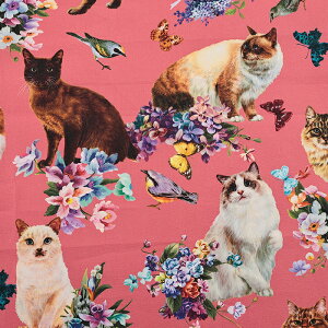 nora. 23D Sweet Perfume ブロード 50cm単位|切売り 切り売り 生地 布 布地 NORA ノラ 野良 のら 日本製 高品質 おしゃれ コットン100% 薄手 薄地 猫柄 ネコ ねこ 動物柄 アニマル柄 総柄 花柄 フラワー