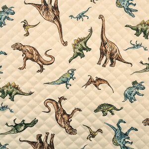 CɓV[Y _Ci\[p[N IbNXLg 50cmPʁbؔ ؂蔄 n z zn Lgn LeBO LeBOn 傤イ  _Ci\[ ObY wO